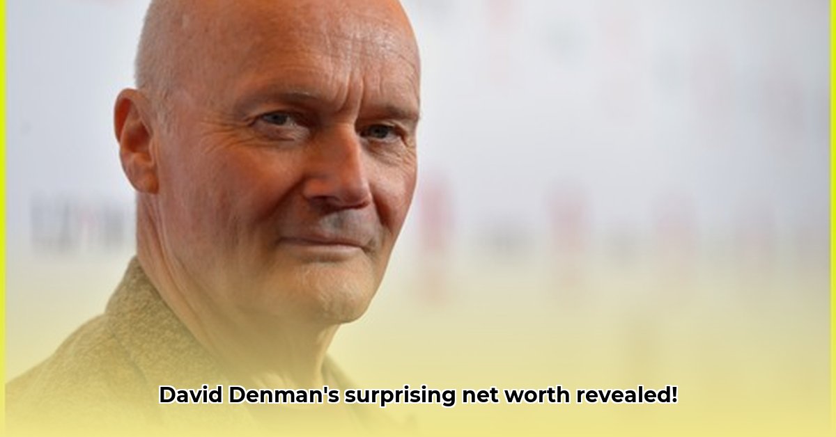 david-denman-net-worth